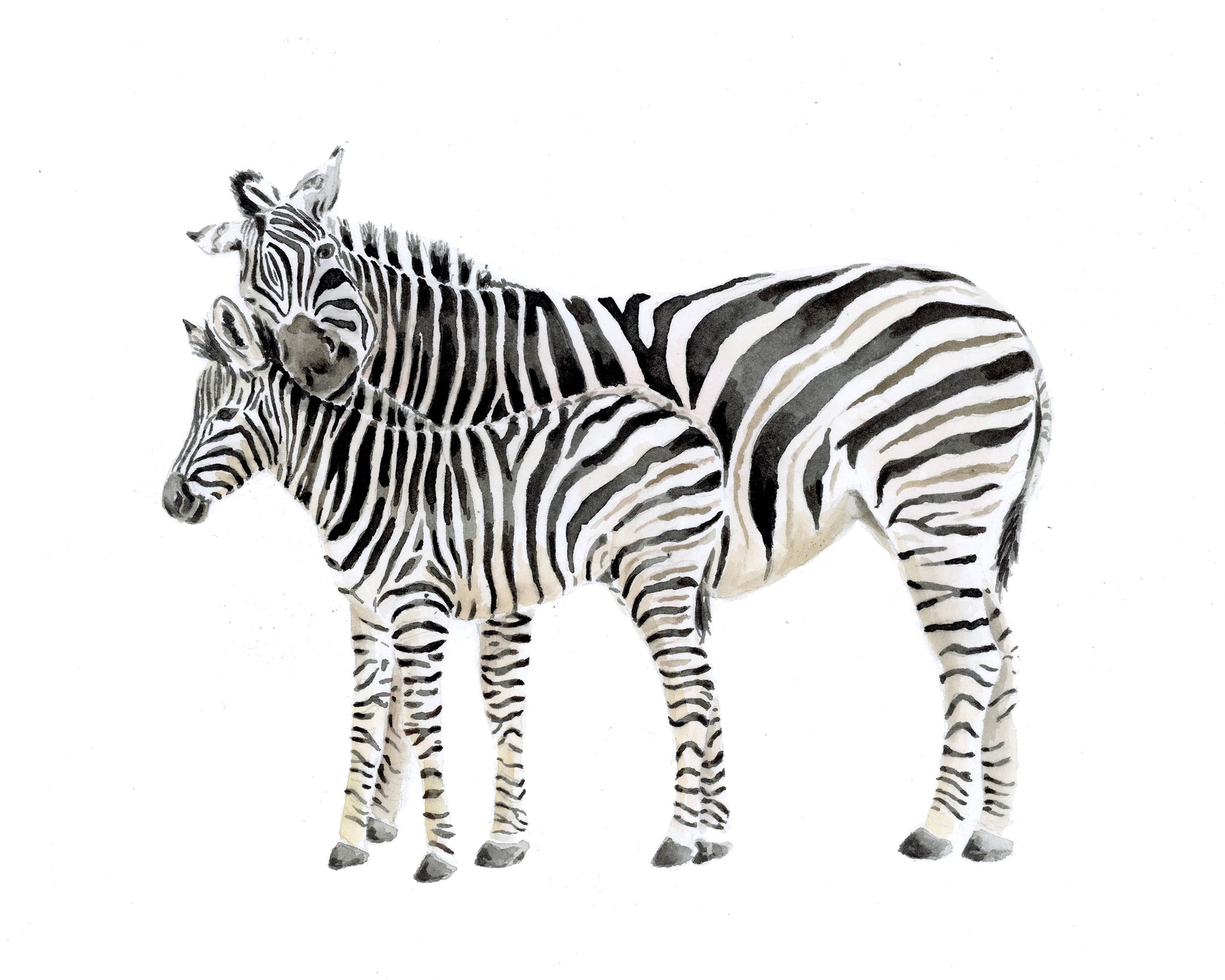 絵画 BABY BABY 9 Cute Baby Zebra Clipart, Zebra Nursery, Printable